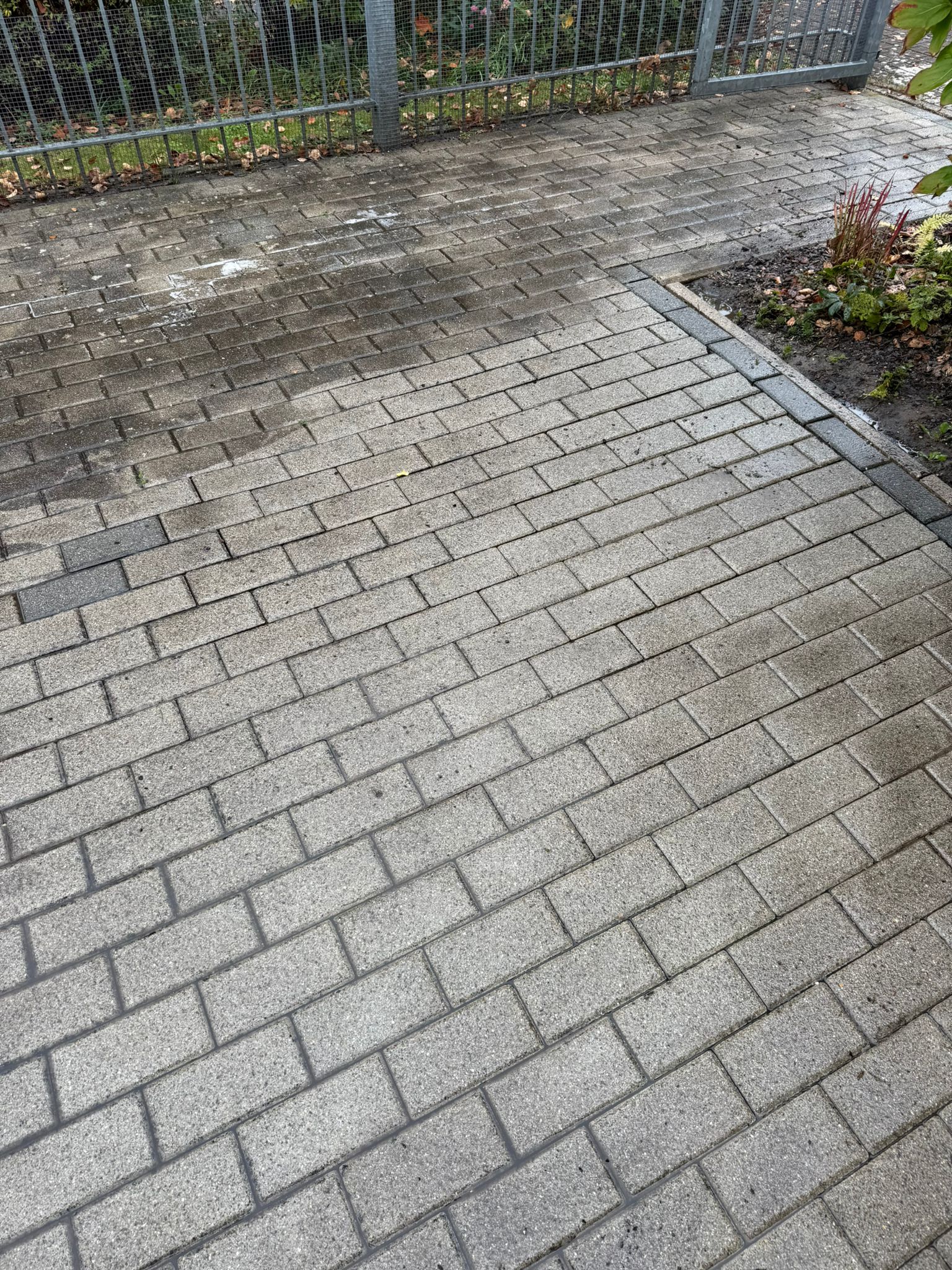 Pflasterfläche mit sichtbarer Reinigungslinie nach Steinreinigung